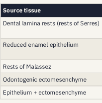 <p>source tissue, where it sits, what it can become</p>