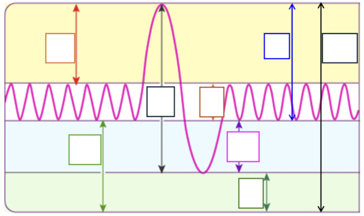 <p>Define, exact #, and point out tidal volume</p>