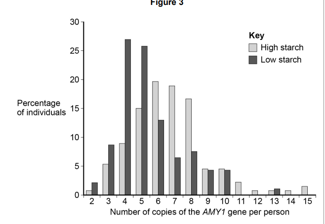 <p>Most human cells contain two copies of each gene. However, there might be up to 15 copies of the gene for amylase (AMY1). Scientists investigated the number of copies of the AMY1 gene in individual people in two populations. One population had a high-starch diet and the other population had a low-starch diet.</p><p><strong>Figure 3</strong> shows their results.</p><p>Describe what their results show (3) </p>
