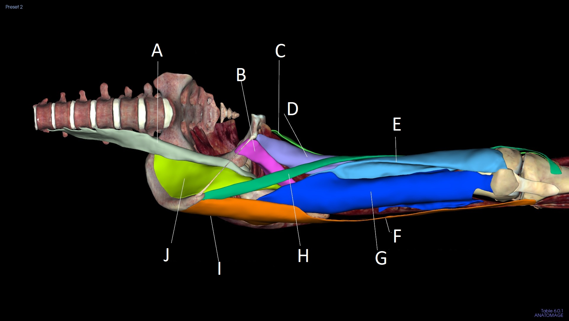 <p>A</p>