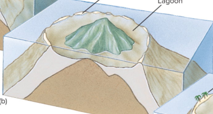 <p>island slightly sunk creating a lagoon with the reef surrounding that</p>