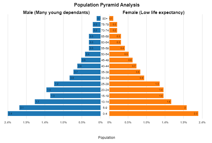 <p>What is a <strong>rapid growth population pyramid</strong>?</p>