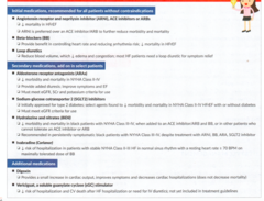 <p>1)</p><p>- ARNI, ACE inhibitors or ARBs</p><p>- BB</p><p>- Loop diuretics</p><p>2)</p><p>- ARAs</p><p>- SGLT2i</p><p>- Hydralazine & Nitrates</p><p>- Ivabradine</p><p>3)</p><p>- Digoxin</p><p>- sGC stimulator (vericiguat)</p>