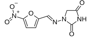 <p>[NITROFURANS]</p><p>a. Nitrofurantoin</p><p>b. Metronidazole</p>