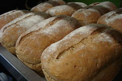 <p>bakery</p>
