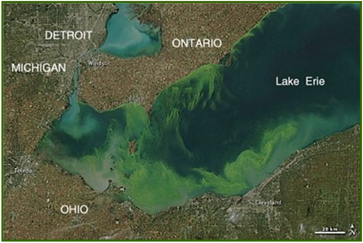 <p>Areas that develop in lakes or seas when nitrogen and phosphorus (from agricultural fertilizers) promote the growth of algae. </p><p>Bacteria feed on algae and deplete the water of oxygen.</p>