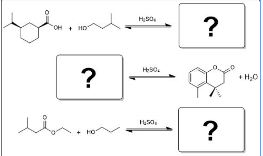 <p>Provide the appropriate starting materials and/or product(s) needed to complete the following Fischer esterification reaction schemes:</p>