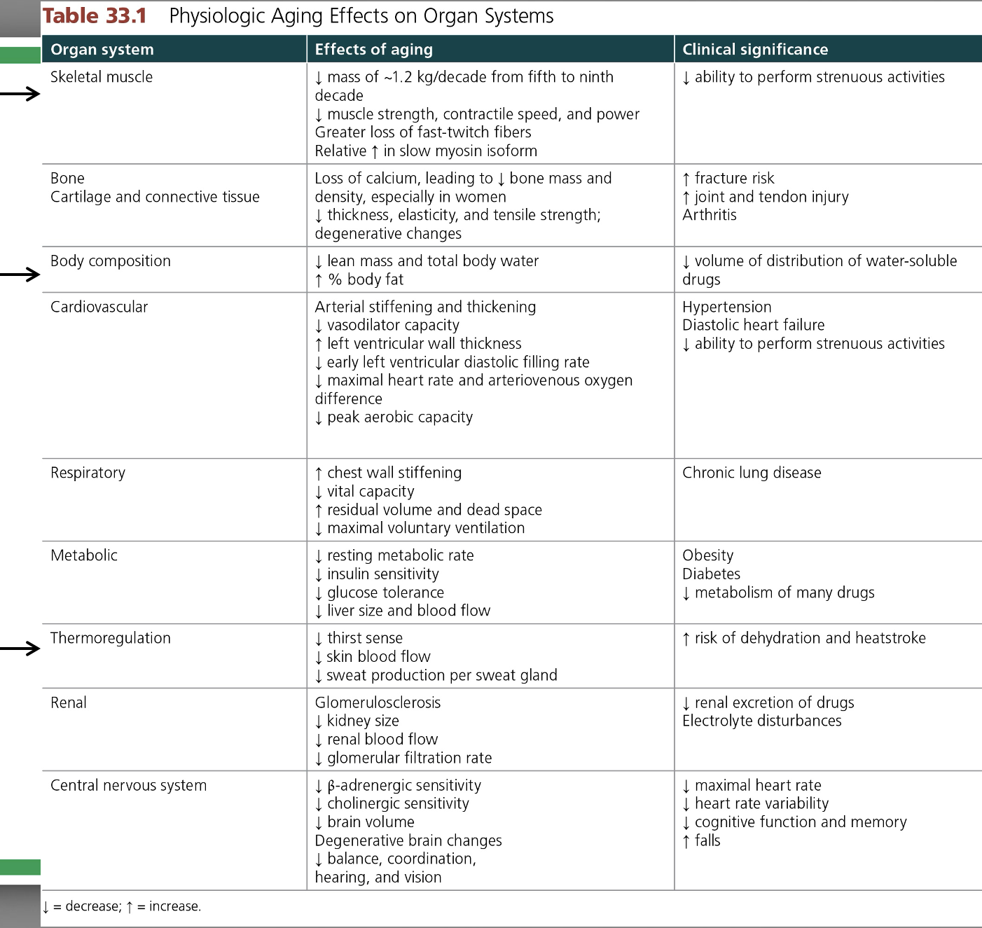 <p>effects of aging, thermoregulation </p>