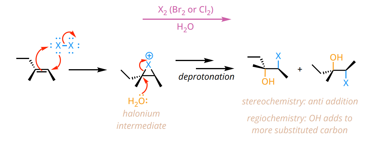 <ul><li><p>stereochemistry: Anti addition</p></li><li><p>regiochemistry: OH adds to more substituted C (Mark.)</p></li><li><p>reagents: Br<sub>2</sub> or Cl<sub>2</sub> in H<sub>2</sub>O</p></li></ul><p></p>