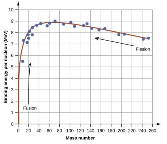 <ul><li><p>Fusion: when <strong>LIGHT</strong> nuclides combine </p></li><li><p>Fission: when heavy nuclides fragment (decay)</p></li></ul><p></p>