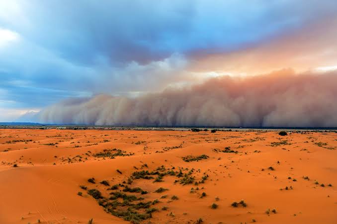 <p>sandstorm</p>