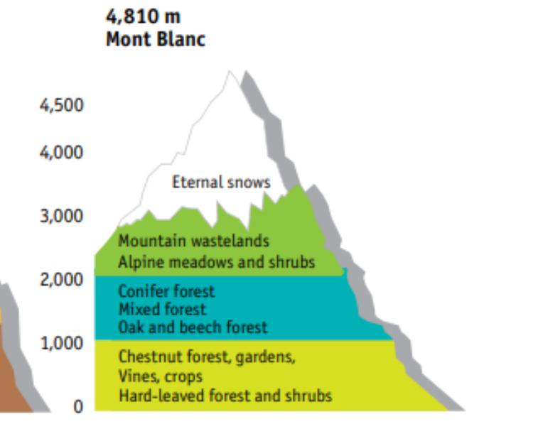 <p></p><table style="min-width: 50px;"><colgroup><col style="min-width: 25px;"><col style="min-width: 25px;"></colgroup><tbody><tr><th colspan="1" rowspan="1" style="border-bottom: 1px solid var(--dsw-alias-border-l3); font: var(--dsw-font-markdown-table-head); border-top-width: medium; border-top-style: none; border-top-color: currentcolor; padding: 10px 16px 10px 0px; text-align: left;"><p>Altitude Zone</p></th><th colspan="1" rowspan="1" style="border-bottom: 1px solid var(--dsw-alias-border-l3); font: var(--dsw-font-markdown-table-head); border-top-width: medium; border-top-style: none; border-top-color: currentcolor; padding: 10px 16px; text-align: left;"><p>Vegetation</p></th></tr><tr><td colspan="1" rowspan="1" style="border-bottom: 1px solid var(--dsw-alias-border-l2); font: var(--dsw-font-markdown-table); min-width: 100px; max-width: min(30vw, 320px); padding: 10px 16px 10px 0px;"><p><strong>Lowest (foothills)</strong></p></td><td colspan="1" rowspan="1" style="border-bottom: 1px solid var(--dsw-alias-border-l2); font: var(--dsw-font-markdown-table); min-width: 100px; max-width: min(30vw, 320px); padding: 10px 0px 10px 16px;"><p>Hard-leaved forest and shrubs (Mediterranean influence)</p></td></tr><tr><td colspan="1" rowspan="1" style="border-bottom: 1px solid var(--dsw-alias-border-l2); font: var(--dsw-font-markdown-table); min-width: 100px; max-width: min(30vw, 320px); padding: 10px 16px 10px 0px;"><p></p></td><td colspan="1" rowspan="1" style="border-bottom: 1px solid var(--dsw-alias-border-l2); font: var(--dsw-font-markdown-table); min-width: 100px; max-width: min(30vw, 320px); padding: 10px 0px 10px 16px;"><p>Chestnut forest, gardens, vines, crops</p></td></tr><tr><td colspan="1" rowspan="1" style="border-bottom: 1px solid var(--dsw-alias-border-l2); font: var(--dsw-font-markdown-table); min-width: 100px; max-width: min(30vw, 320px); padding: 10px 16px 10px 0px;"><p></p></td><td colspan="1" rowspan="1" style="border-bottom: 1px solid var(--dsw-alias-border-l2); font: var(--dsw-font-markdown-table); min-width: 100px; max-width: min(30vw, 320px); padding: 10px 0px 10px 16px;"><p>Oak and beech forest</p></td></tr><tr><td colspan="1" rowspan="1" style="border-bottom: 1px solid var(--dsw-alias-border-l2); font: var(--dsw-font-markdown-table); min-width: 100px; max-width: min(30vw, 320px); padding: 10px 16px 10px 0px;"><p></p></td><td colspan="1" rowspan="1" style="border-bottom: 1px solid var(--dsw-alias-border-l2); font: var(--dsw-font-markdown-table); min-width: 100px; max-width: min(30vw, 320px); padding: 10px 0px 10px 16px;"><p>Mixed forest</p></td></tr><tr><td colspan="1" rowspan="1" style="border-bottom: 1px solid var(--dsw-alias-border-l2); font: var(--dsw-font-markdown-table); min-width: 100px; max-width: min(30vw, 320px); padding: 10px 16px 10px 0px;"><p><strong>Mid-altitude</strong></p></td><td colspan="1" rowspan="1" style="border-bottom: 1px solid var(--dsw-alias-border-l2); font: var(--dsw-font-markdown-table); min-width: 100px; max-width: min(30vw, 320px); padding: 10px 0px 10px 16px;"><p>Conifer forest</p></td></tr><tr><td colspan="1" rowspan="1" style="border-bottom: 1px solid var(--dsw-alias-border-l2); font: var(--dsw-font-markdown-table); min-width: 100px; max-width: min(30vw, 320px); padding: 10px 16px 10px 0px;"><p><strong>High altitude</strong></p></td><td colspan="1" rowspan="1" style="border-bottom: 1px solid var(--dsw-alias-border-l2); font: var(--dsw-font-markdown-table); min-width: 100px; max-width: min(30vw, 320px); padding: 10px 0px 10px 16px;"><p>Alpine meadows and shrubs</p></td></tr><tr><td colspan="1" rowspan="1" style="border-bottom: 1px solid var(--dsw-alias-border-l2); font: var(--dsw-font-markdown-table); min-width: 100px; max-width: min(30vw, 320px); padding: 10px 16px 10px 0px;"><p></p></td><td colspan="1" rowspan="1" style="border-bottom: 1px solid var(--dsw-alias-border-l2); font: var(--dsw-font-markdown-table); min-width: 100px; max-width: min(30vw, 320px); padding: 10px 0px 10px 16px;"><p>Mountain wastelands</p></td></tr><tr><td colspan="1" rowspan="1" style="border-bottom: 1px solid var(--dsw-alias-border-l2); font: var(--dsw-font-markdown-table); min-width: 100px; max-width: min(30vw, 320px); padding: 10px 16px 10px 0px;"><p><strong>Highest</strong></p></td><td colspan="1" rowspan="1" style="border-bottom: 1px solid var(--dsw-alias-border-l2); font: var(--dsw-font-markdown-table); min-width: 100px; max-width: min(30vw, 320px); padding: 10px 0px 10px 16px;"><p>Eternal snows</p></td></tr></tbody></table><p></p>