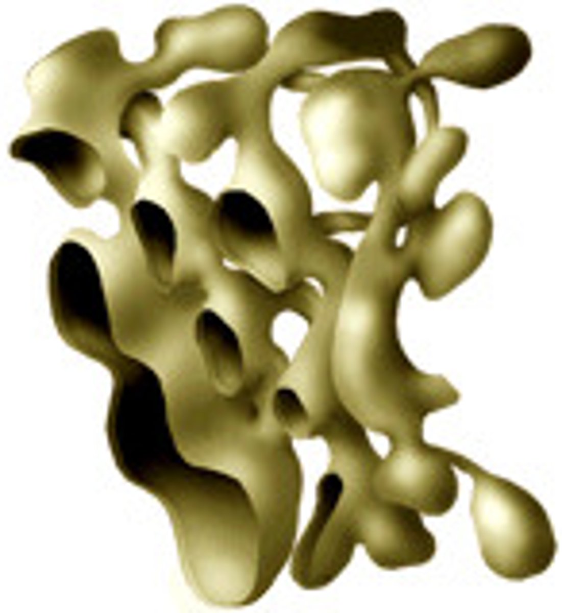 <p>site of lipid synthesis</p>