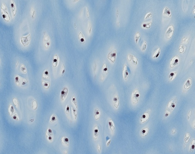 <p>Which type of CT is this? be specific.</p>