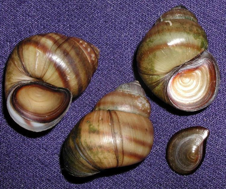 <p></p>