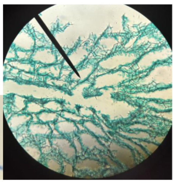 <p>what is this </p>