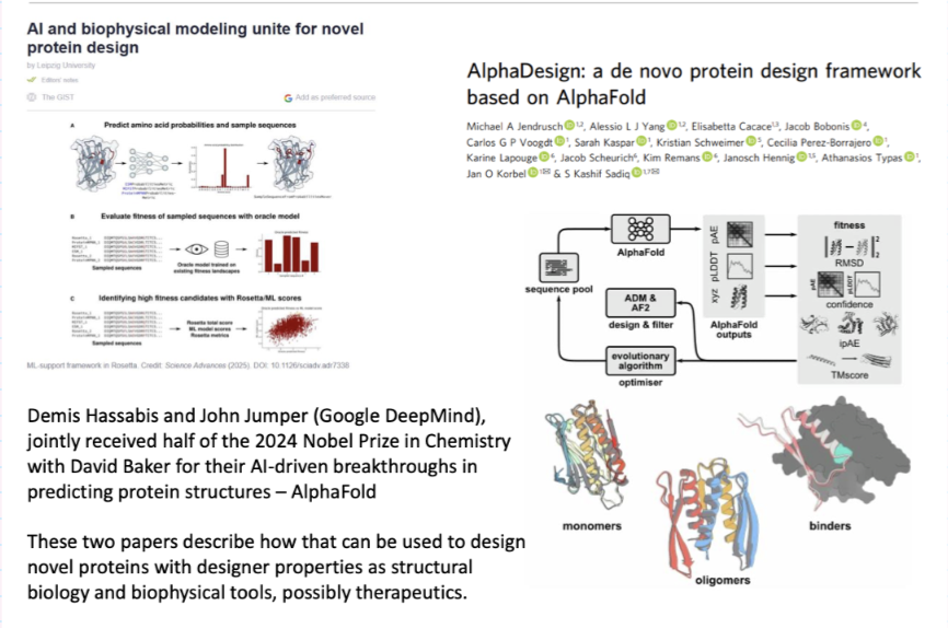 <ul><li><p>AI (e.g. AlphaFold/AlphaDesign) predicts protein structures and designs new sequences (de novo design)</p></li><li><p>Models generate and optimise amino acid sequences for desired properties (fitness, stability, binding)</p></li><li><p>Can create novel proteins (monomers, oligomers, binders) with specific functions</p></li><li><p>Enabled by breakthroughs in structure prediction (Nobel Prize 2024 – DeepMind + David Baker)</p></li><li><p>Applications: structural biology tools and potential therapeutics</p></li></ul><p></p>