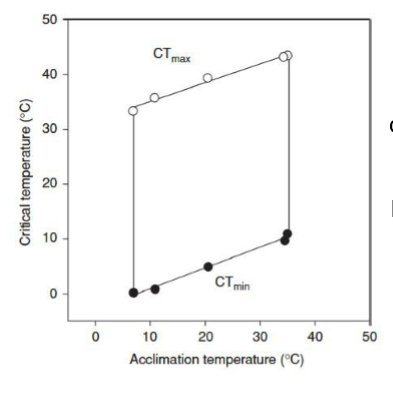 <p>key tool in conservation physiology. capture acute and acclimation effects on the “thermal performance envelope” for an animal. powerful tool for explaining an animal’s thermal niche. X axis is temp animal was acclimated to, and Y is critical thermal limits. critical max/min temp is where animal can no longer maintain normal temp. as acclimation increases, the CTmax/min shift upward so animal acclimated to warmer can tolerate somewhat higher temp, but may lose some cold tolerance, so area bw CT min and mac is thermal performance envelope</p>