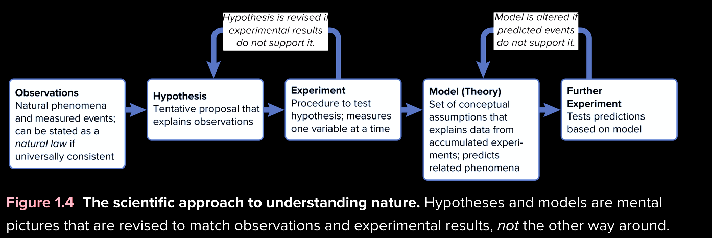 <p>Scientific method</p>