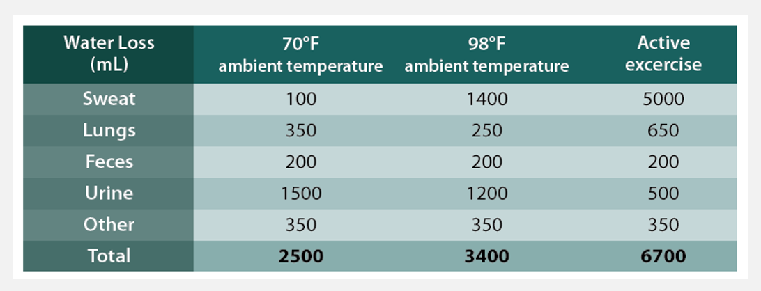 <p>Water loss occurs in various ways</p>
