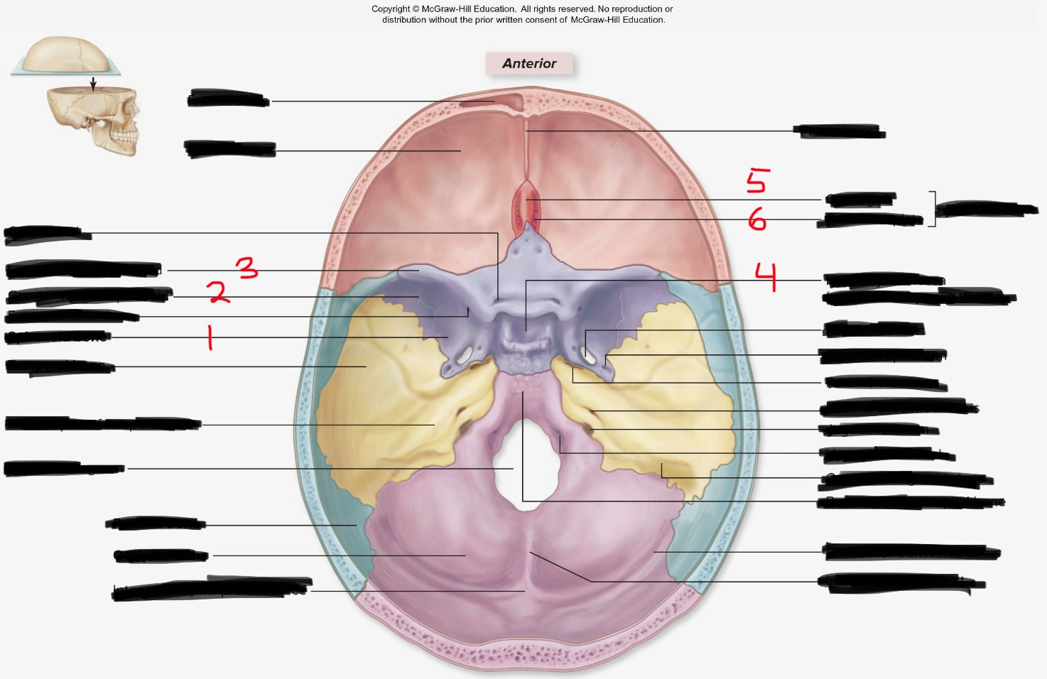 <p>6</p>