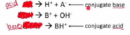 <ul><li><p> Conjugate bases</p></li><li><p>Conjugate acids</p></li></ul><p></p>