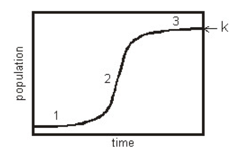 <p>The S-shaped growth curve. growth rate slows down, and the population fluctuates around carrying capacity</p>