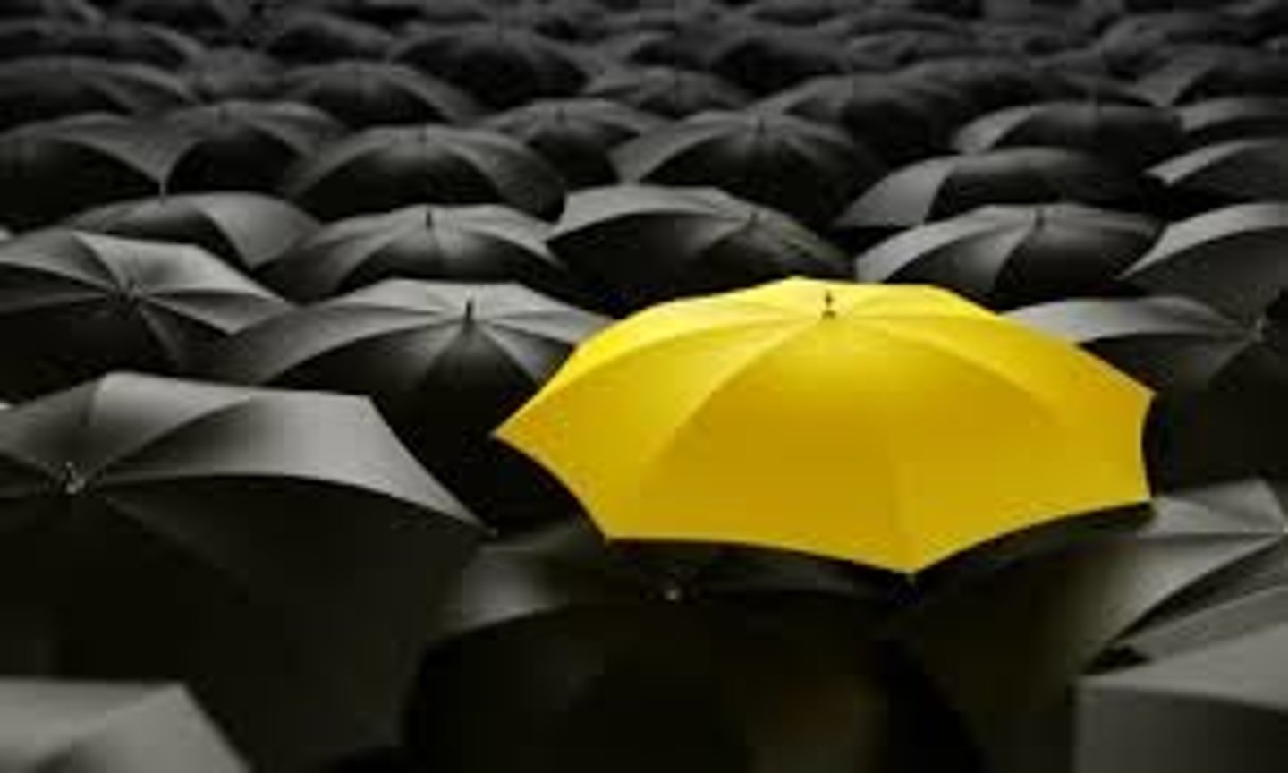 <p>to stand out</p>