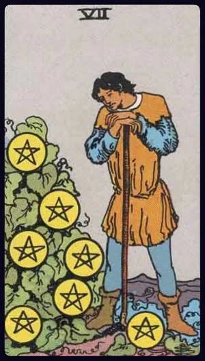 <p>Seven of Pentacles</p>