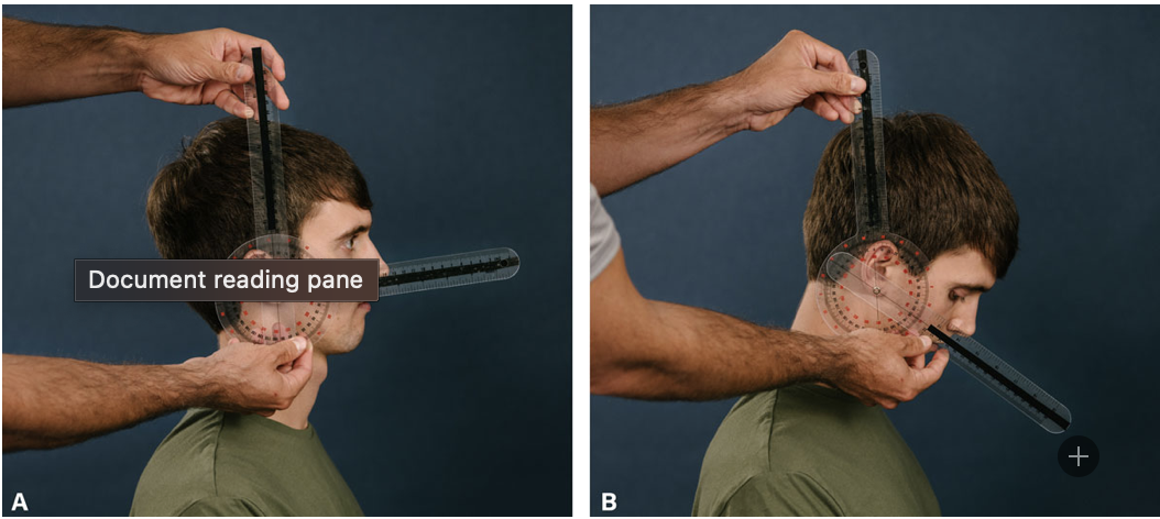 <p>Neck Flexion</p>