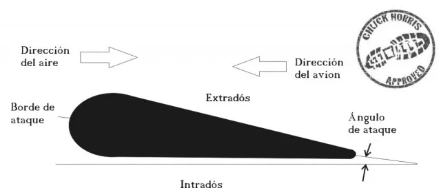 <p>Parte inferior del perfil alar.</p>