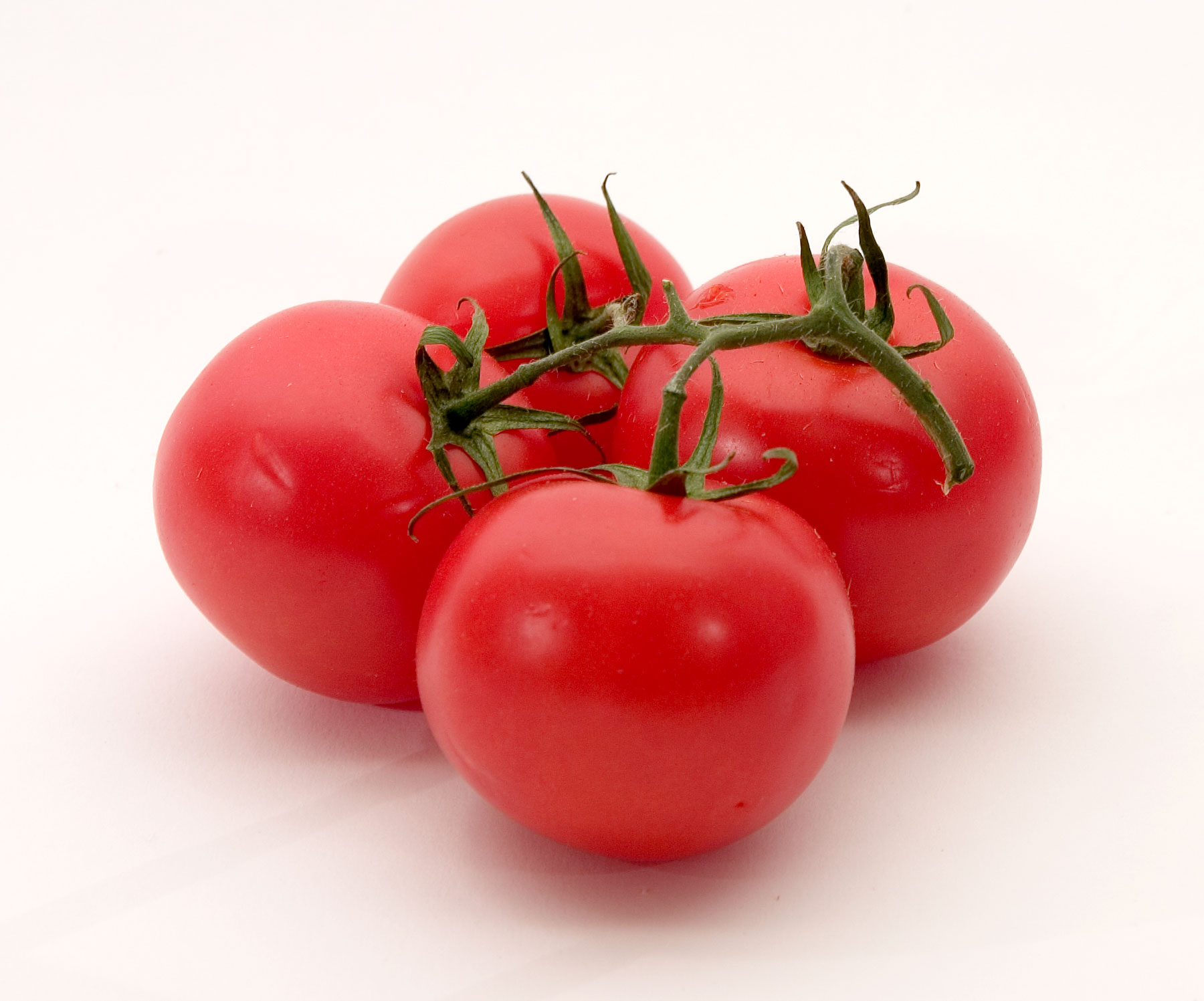 <p>un tomate</p>