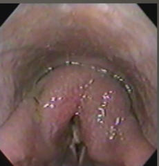 <p>What is this?</p>