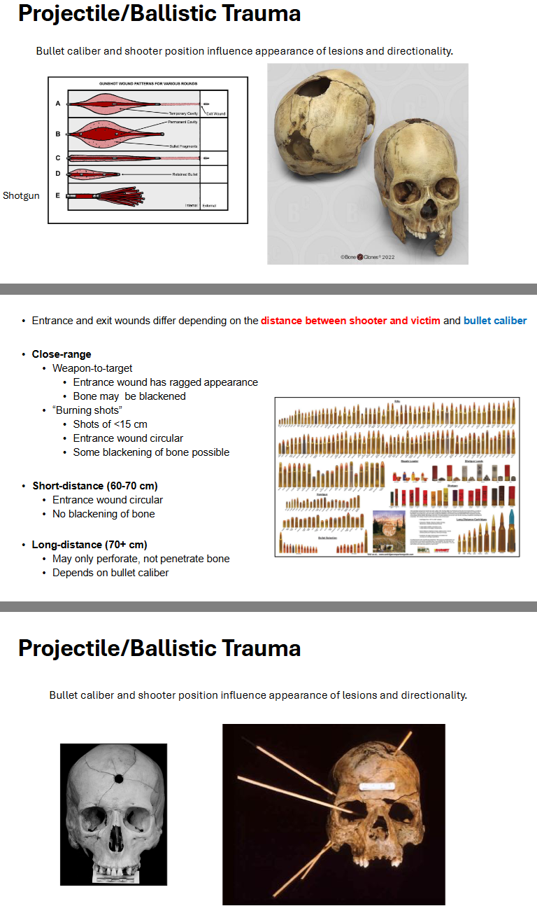 <p>Projectile/Ballistic Trauma</p>