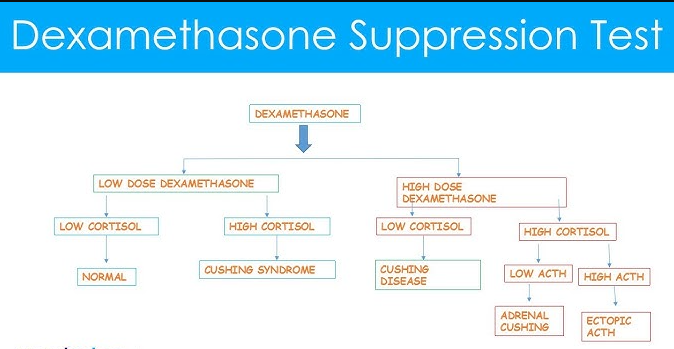 <p>Cushing’s syndrome from ectopic ACTH secreting tumor</p>