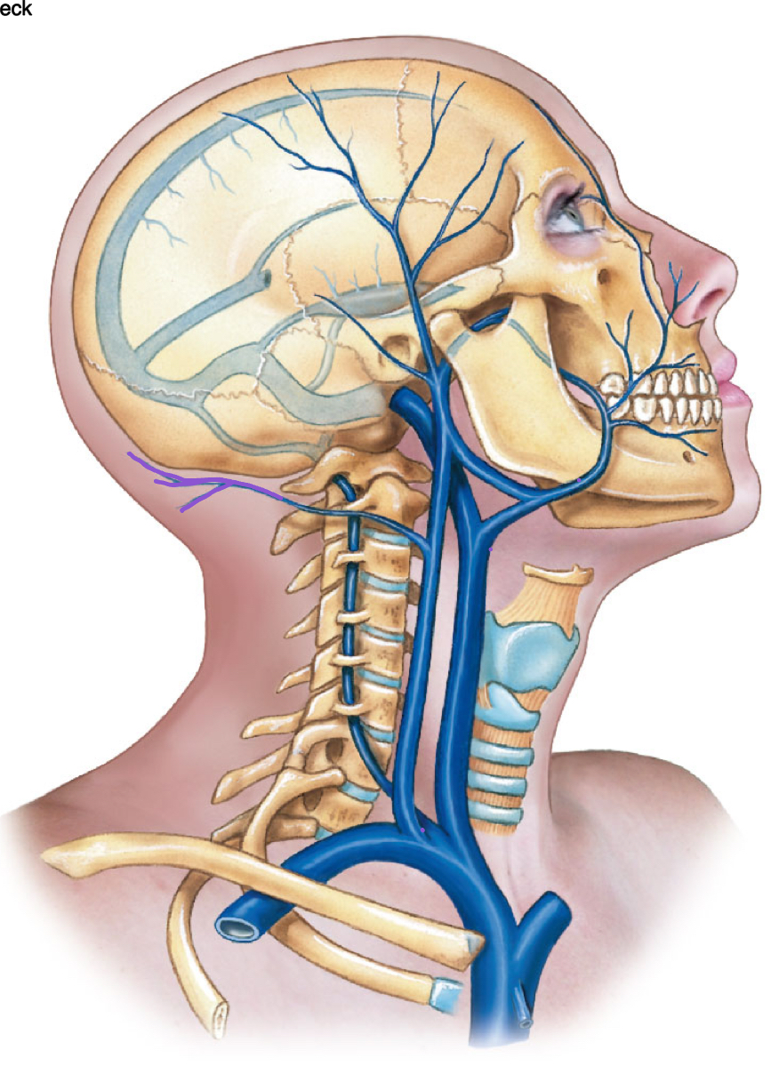 <p>diagram </p>