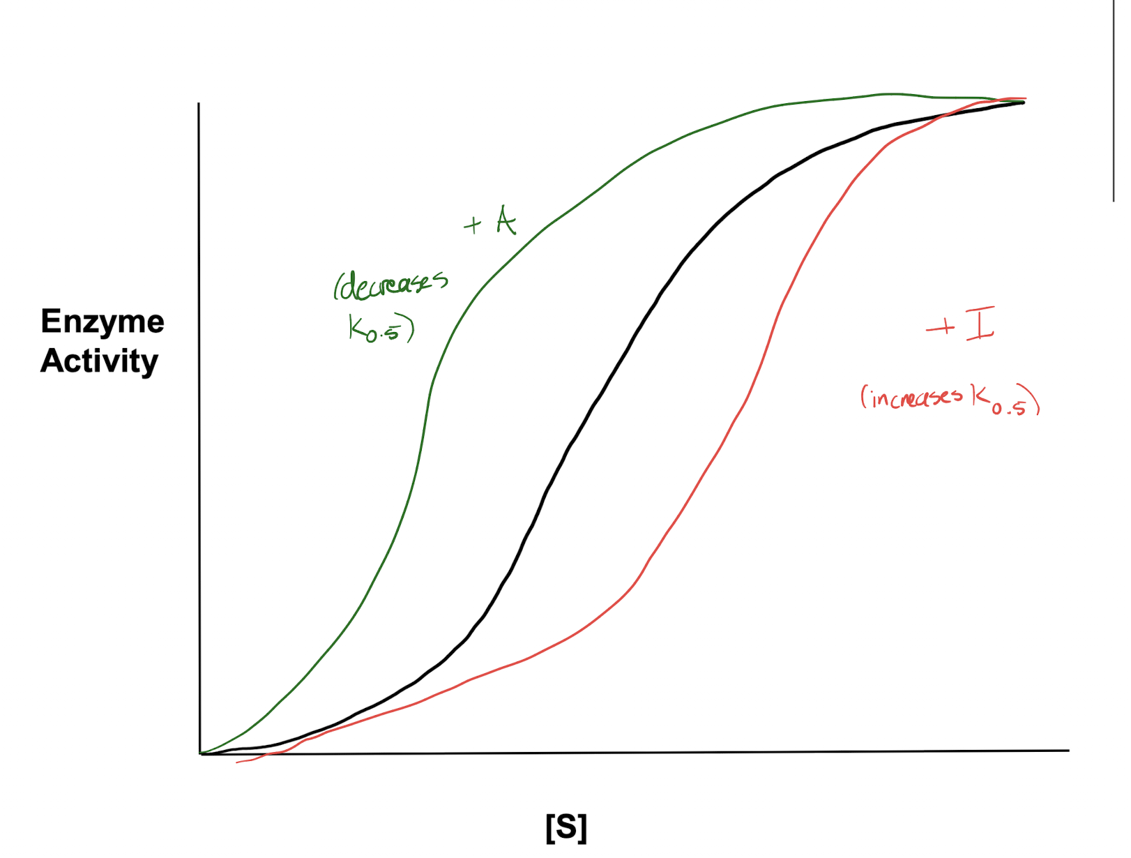 <p>T state (tense, low activity): favoured by allosteric inhibitors, which will bind to the T state to keep the enzyme in T state or bind to the R state to shift the enzyme to T state.</p><p>R state (relaxed, high activity): favoured by allosteric activators, which will bind to the R state to keep the enzyme in R state or bind to the T state to shift the enzyme to R state.</p>