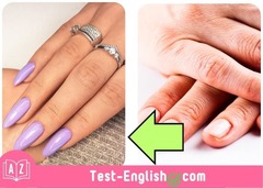 <p>These are _____ nails.</p>