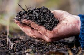 <p>soil-based</p>
