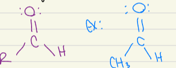 <p>Base bonded with an H</p>