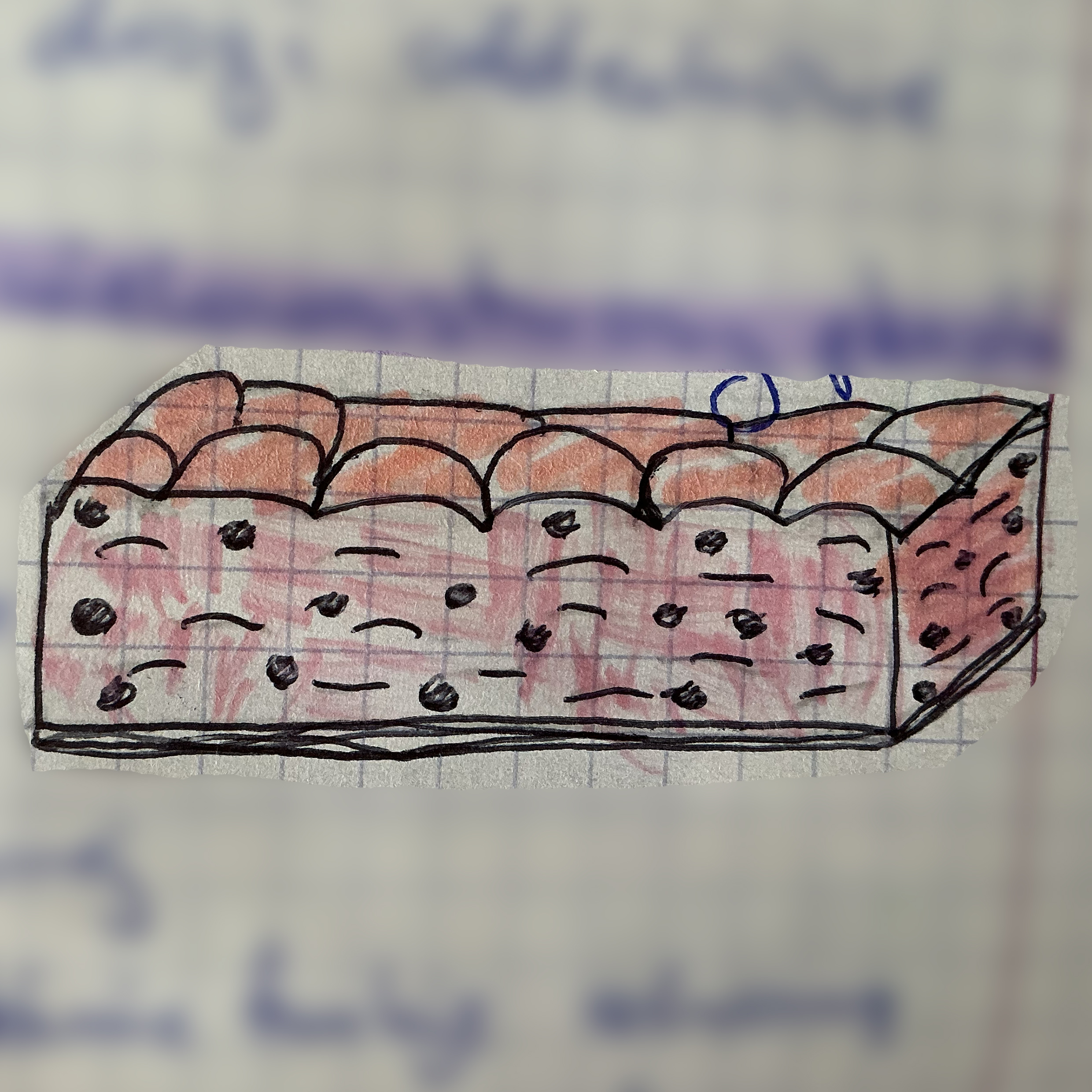 <p>jaka to tkanka?</p>