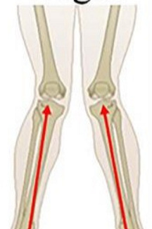 <p>what is shown? </p>