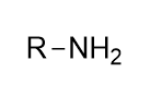 <p>Hofmann rearrangement</p>