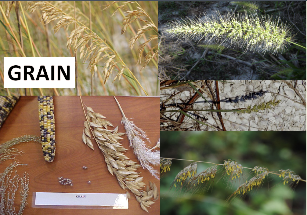 <p>What is this?</p>