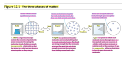 <p>1. A solid is a rigid macroscopic system that consists of particle-like atoms connected by spring-like molecular bonds. Solids are nearly incompressible, which tells us that the atoms in a solid are just about as close together as they can get.</p><p> * Atoms vibrate around equilibrium positions.</p><p>2. A liquid is a system in which the molecules are loosely held together by weak molecular bonds. The bonds are strong enough that the molecules never get far apart but not strong enough to prevent the molecules from sliding around each other.</p><p> * Atoms are held close together by weak molecular bonds, but they can slide around each other.</p><p>3. A gas is a system in which each molecule moves through space as a free particle until, on occasion, it collides with another molecule or with the wall of the container. A gas is compressible, telling us that there is lots of space between the molecules.</p><p> * Atoms are far apart and travel freely through space except for occasional collisions.</p>