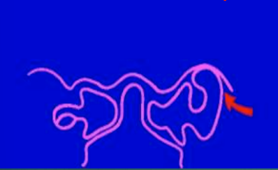 <p>What is this?</p>