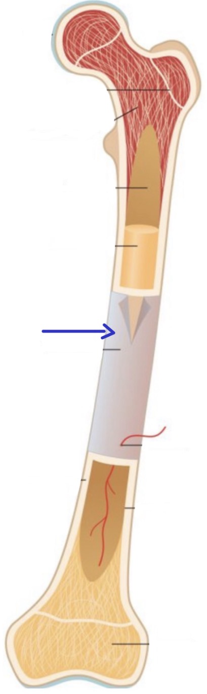 <p><strong>Name the following</strong></p>