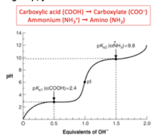 <p>there is no dissociable R-group, just 1 acid and 1 base </p><p>-causes there to be two ideal pKa's for glycine because of the dissociation of either titratable species</p>