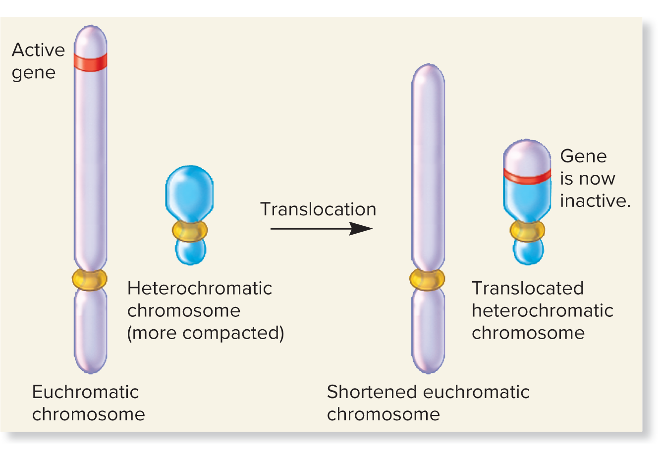 <p>what is this?</p>