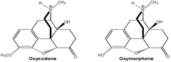<p>Why do oxycodone and oxymorphone lack antitussant properties?</p>